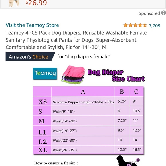 Dog diapers - Picture 4 of 4